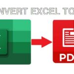 File Formats