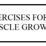 the-top-7-exercises-for-muscle-growth