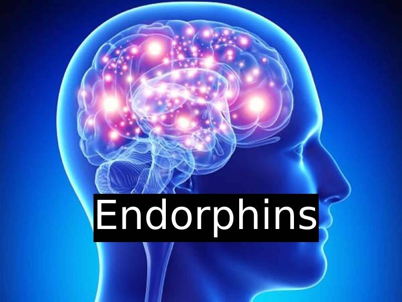 Top 10 Methods to Increase Endorphins