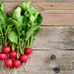 Red Radish: Characteristics, Advantages, and More