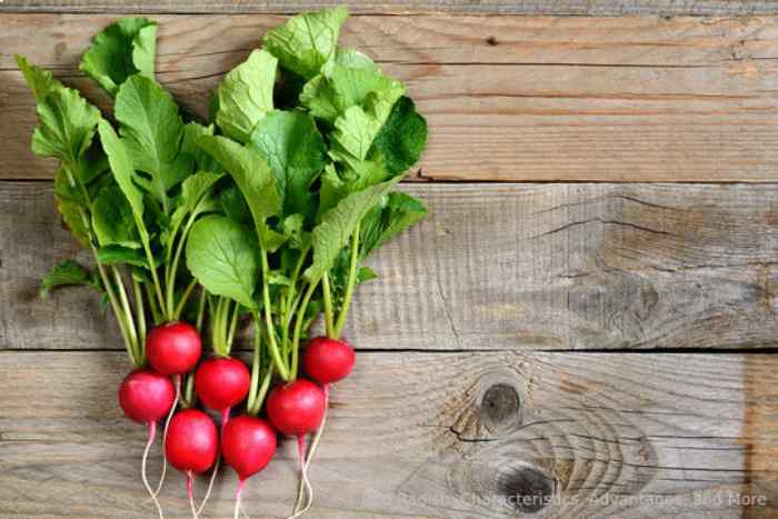 Red Radish: Characteristics, Advantages, and More