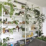 8 Guidelines for Choosing the Best Display Unit for Your Home