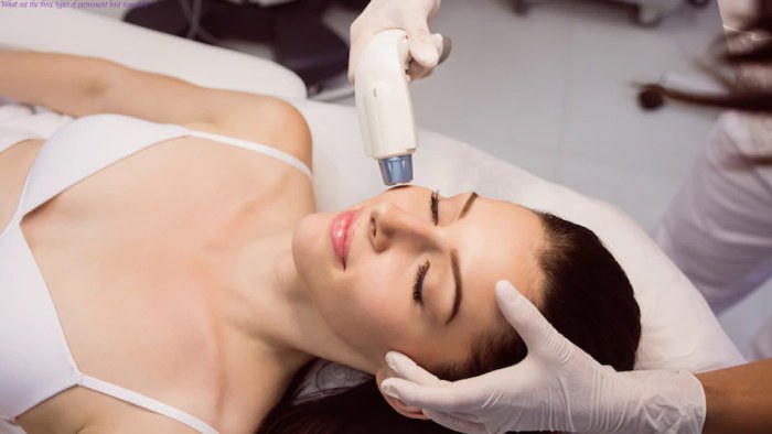 What Are The Three Different Kinds Of Permanent Hair Removal?